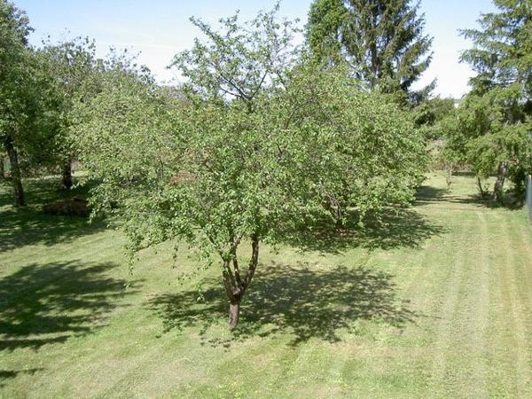 Terrain à ESMANS (77940)