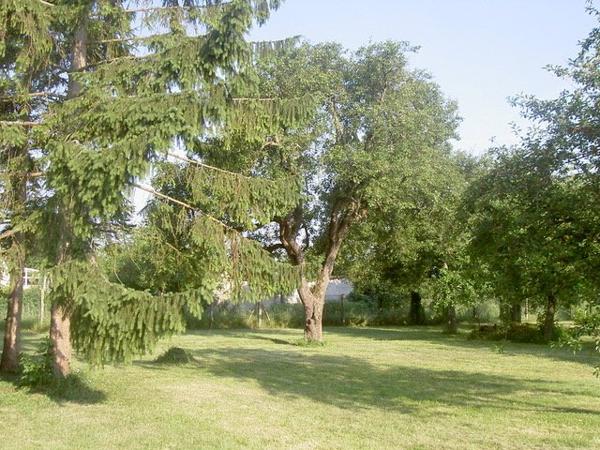 Terrain à ESMANS (77940)