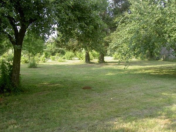 Terrain à ESMANS (77940)