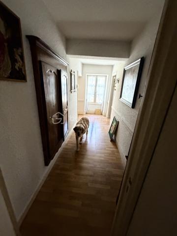 Immeuble mixte de 244 m²