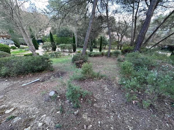Mas provençal avec piscine et dépendance au calme absolu