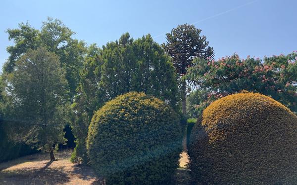 Maison à vendre    4 pièces • 113,50 m2 Saint-Junien