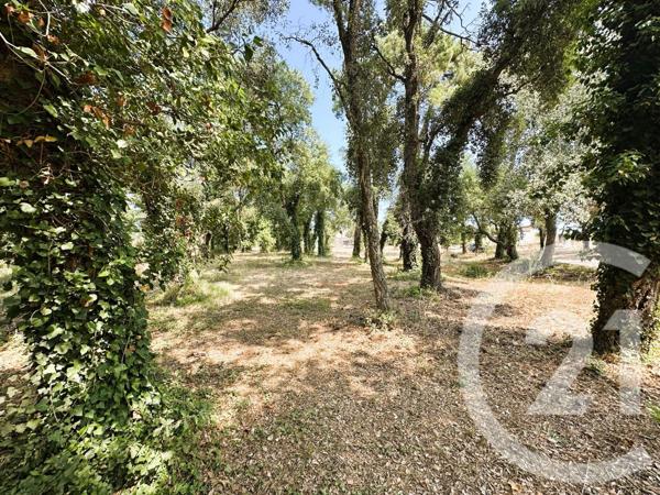 Maison à vendre  10 pièces - 300 m2 COGOLIN - 83