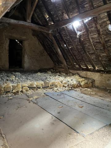 Maison à vendre à Saint-Michel-de-Chavaignes dans la Sarthe (72440), ref : 72033-383