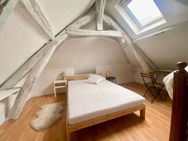 Maison bourg D'Olivet avec jardin et garage