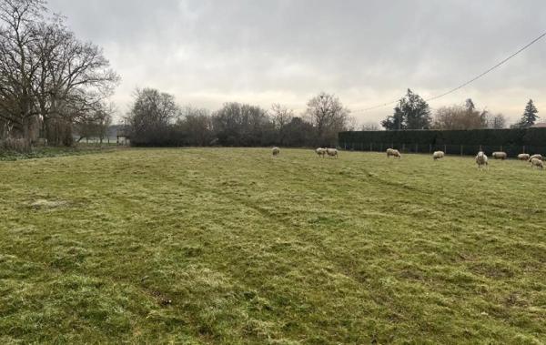 Vente Terrain Roquelaure   