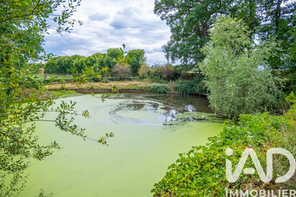 Maison à vendre 11 pièces 345 m² Aigné