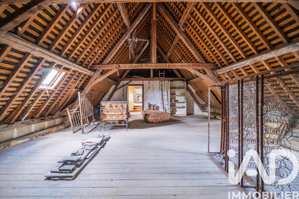 Maison à vendre 11 pièces 345 m² Aigné