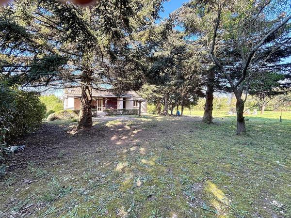 Maison avec sous-sol total et terrain de 1500m2 : un vrai potentiel