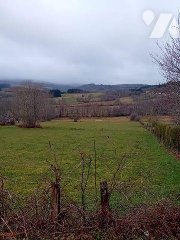 Terrain constructible non viabilisé sur Noirétable.