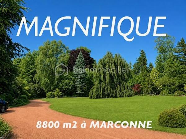 C'est à MARCONNE ( Hesdin-La-Forêt 62140 ), que cette SUBLIME DEMEURE s'est installée au fond d'un PARC VERDOYANT de 8800 m2.
Sa situation la localise à proximité du TOUQUET, de BERCK, d'ABBEVILLE, de SAINT-POL /TERNOISE, de FRUGES , d'ARRAS, et de L'A16 vers Boulogne ou Paris.

C'est un ARCHITECTE inspiré par les BELLES DEMEURES, qui en a fait son OEUVRE en créant et en aménageant ce LIEU UNIQUE, rempli du CHARME des GRANDES MAISONS d'un CERTAIN ART DE VIVRE !

Vous empruntez les sentes de son SUPERBE PARC, vous arrivez et admirez sa très belle et large façade, et déjà vous avez hâte de découvrir sa SURFACE EXCEPTIONNELLE de 330 m2 habitables, et ses 120 m2 d'espaces complémentaires ( Dépendances, Garages, Ateliers..).

Sa porte s'ouvre, vous entrez dans son MAGNIFIQUE HALL, et déjà elle vous ENIVRE de sa BONNE AMBIANCE.
Ses MARBRES, ses VITRAUX, la NOBLESSE de ses BOIS sculptés, la QUALITE des matières et matériaux, la PRESERVATION de son AUTHENTICITE...Vous font ressentir des SENSATIONS UNIQUES et toutes PARTICULIERES.

Au RDC : 
Vous découvrirez à gauche, son IMMENSE SALON / SEJOUR et sa cheminée de L'HISTOIRE des PLANTAGENÊTS ( c'est le lieu unique des belles réunions ).
Sur la droite du hall, vous entrerez dans la SALLE à MANGER distribuant aussi un BUREAU, puis un couloir menant à la Chaufferie, à une commodité ( wc indépendant ), et la CUISINE ( équipée ) s'ouvrant sur la TERRASSE.

Son MAGISTRAL ESCALIER vous guide vers ses 5 CHAMBRES ( dont une suite ), sa SALLE de BAINS, sa SALLE D'EAU, et ses 2 autres commodités ( wc indépendants )...Serions-nous proche du 7 eme CIEL ?
 Une porte ( sur le palier ) s'ouvre sur un second escalier, vous amenant dans ses COMBLES parfaitement aménageables sur plus de 200 m2.

Ses espaces s'ouvrent sur son IMMENSE PARC / JARDIN ( digne d'André Le Nôtre ), parfaitement entretenu et ensoleillé tout au long de la journée.
Il bénéficie d'une EXPOSITION et d'une LUMINOSITE EXCEPTIONNELLE, lui apportant la BRILLANCE des PLUS BEAUX ECRINS VERTS.
Les surfaces sauront parfaire à l'organisation de GARDEN-PARTY, des belles SOIREES BLANCHES FORESTINOISES, de vos après-midi FARNIENTE et de vos séances de BRONZAGE ( Je vous conseille toutefois de porter un petit maillot, car nous ne sommes quand même que dans les Hauts de France ).

Une dépendance ( MAISON DE JARDIN Indépendante ) de 60 m2 habitables, saura parfaire aux activités de loisirs créatifs, aux logements courtes durées, des amis de passage, à l'art pictural, ou celui du Bricolage...

Ses ESPACES, ses VOLUMES EXCEPTIONNELS, les NOBLES MATERIAUX, une DECORATION UNIQUE, de MAGNIFIQUES EXTERIEURS...C'est à chacun de vos pas qu'elle vous raconte son histoire, et ce sera à vous d'y réécrire les nouveaux chapitres de la vôtre !

Elle sera parfaitement adaptée à recevoir et voir s'épanouir votre GRANDE et BELLE FAMILLE.

Ses ASPECTS TECHNIQUES :
Les MENUISERIES sont en PVC et Bois Double-Vitrage, le CHAUFFAGE et L'EAU CHAUDE sont générés par convecteurs et ballon électrique, la CHEMINEE saura parfaire à votre confort des belles soirées d'hiver ( et aux feux de l'amour ), elle dispose de DEPENDANCES et COMBLES aménageables, de PARKING, de GARAGES, d'ATELIERS, et la TOITURE est en très bon état...ELLE EST QUAND MÊME TRES BELLE LA VIE !

Les NOTIONS ECONOMIQUES :
Ses dépenses énergétiques sont maitrisées, et sa taxe foncière de seulement 3440 euros.

Vous souhaitez découvrir ce LIEU D'EXCEPTION, vous m'appelez Gilles O6 3O 89 OO O8...Ambassadeur des BELLES DEMEURES d'un CERTAIN ART DE VIVRE.

Pour des acquéreurs qualifiés, nous sommes en recherche de biens immobiliers à vendre sur l'ensemble des Hauts de France.
N'hésitez pas à nous contacter pour une estimation de votre bien immobilier ( maison, appartement, immeuble, fonds de commerce...). 
Elle vous sera offerte, et nous pourrons ainsi échanger sur la qualité et la différence de nos actions commerciales, qui transforment nos ventes en de très belles réussites immobilières.
