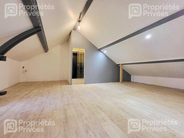 Ensemble de deux maisons, cour et jardin