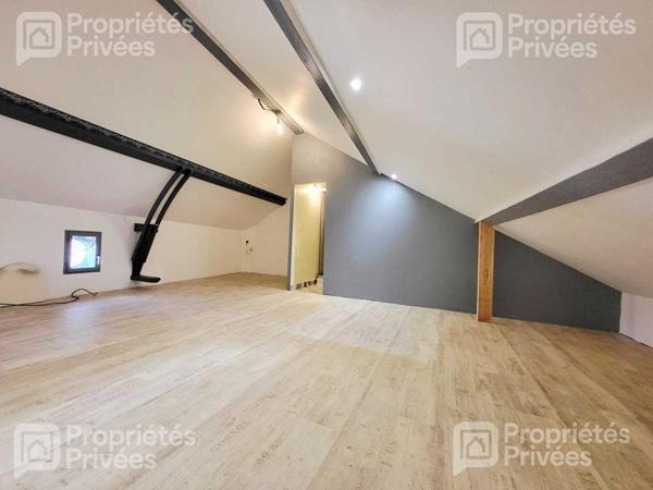 Ensemble de deux maisons, cour et jardin