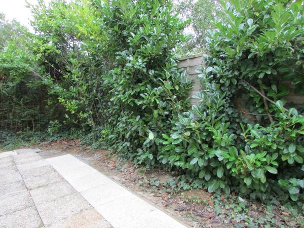 Appartement - 3 pièces - 63 m²