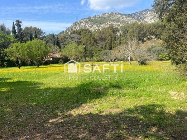 Propriété d'exception - Domaine de charme avec 4 maisons indépendantes sur un terrain de 23 575m2