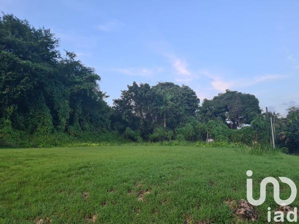 Terrain à vendre 963 m² Morne-à-l'Eau