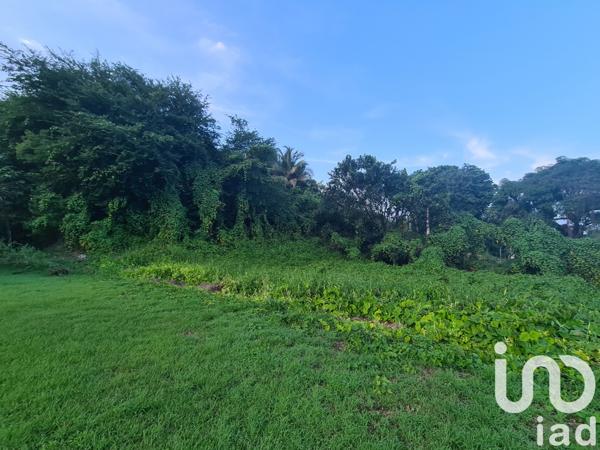 Terrain à vendre 963 m² Morne-à-l'Eau