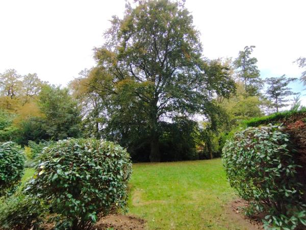 Vente Appartement 4 pièces 132 m2 à Roubaix