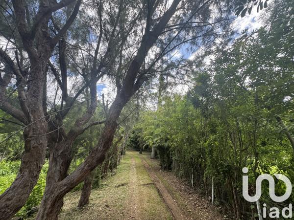 Terrain à vendre 3 000 m² Saint-Paul