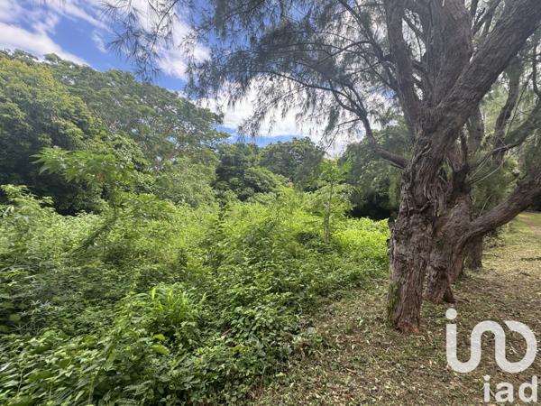 Terrain à vendre 3 000 m² Saint-Paul