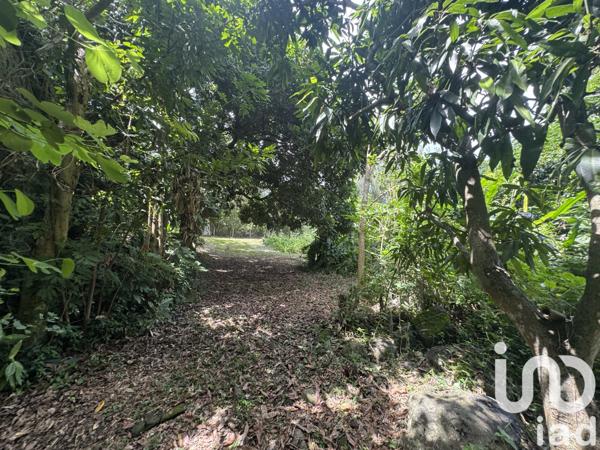 Terrain à vendre 3 000 m² Saint-Paul