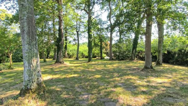 Spacieuse maison de campagne de 244 m² avec piscine