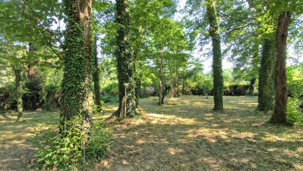 Spacieuse maison de campagne de 244 m² avec piscine