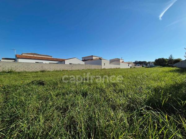 Terrain à vendre de 3288,00 m² SAINT SULPICE DE ROYAN (17)