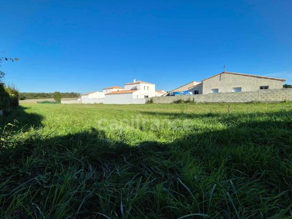 Terrain à vendre de 3288,00 m² SAINT SULPICE DE ROYAN (17)