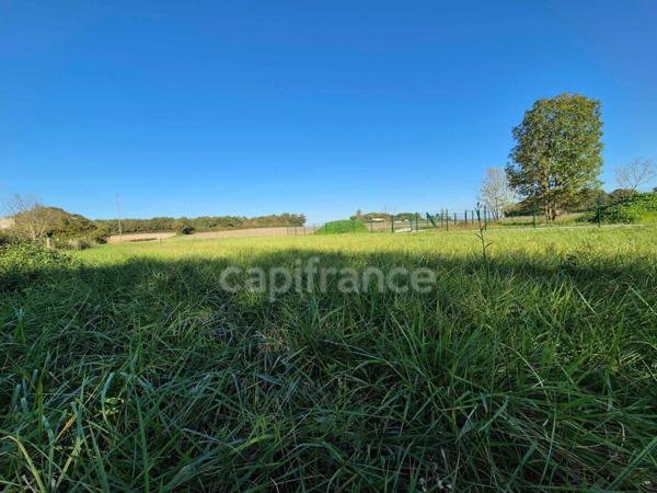 Terrain à vendre de 3288,00 m² SAINT SULPICE DE ROYAN (17)