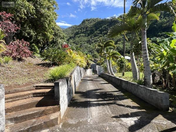 Maison à vendre à Entre-Deux à la Réunion (97414), ref : 97411-346