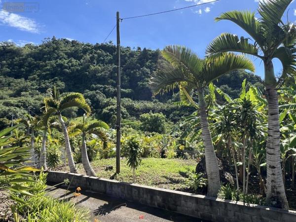 Maison à vendre à Entre-Deux à la Réunion (97414), ref : 97411-346