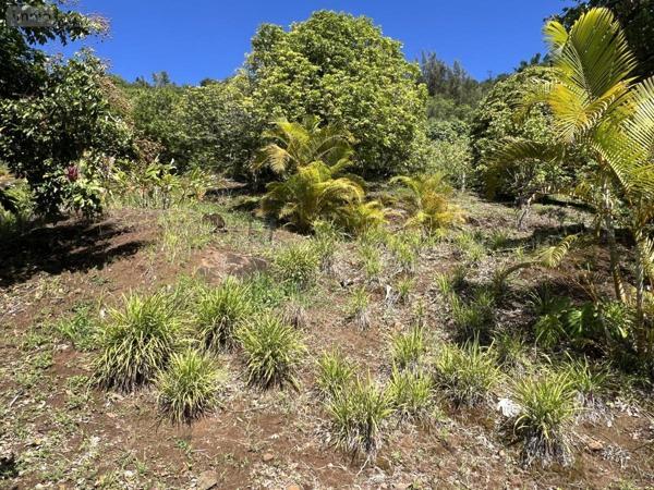 Maison à vendre à Entre-Deux à la Réunion (97414), ref : 97411-346