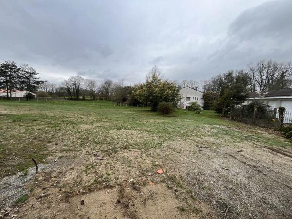 Terrain à vendre |                                       Bellevigny |                                          415 m²