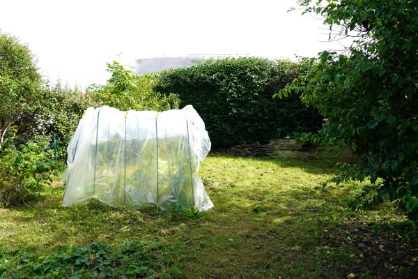 Goven (35580) Maison de ville