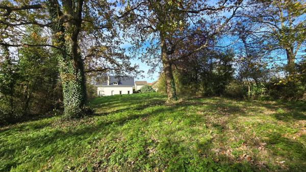 magnifique terrain clos