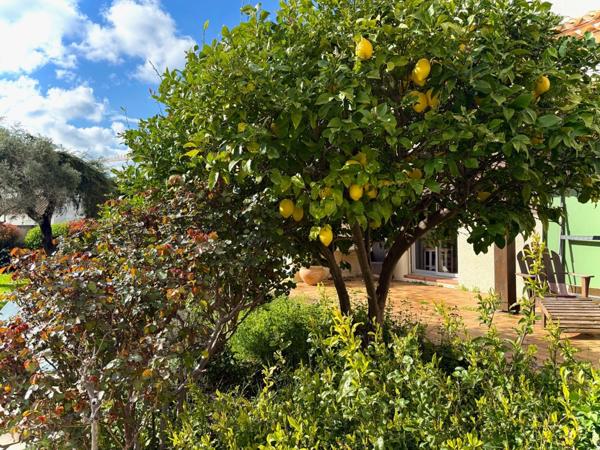 Villa d’architecte méditerranéenne avec piscine et parc arboré de 2 159 m² – Narbonne
