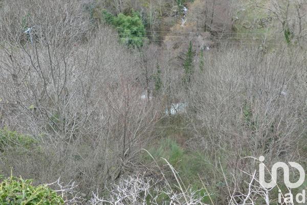 Immeuble à vendre 10 000 m² Burzet