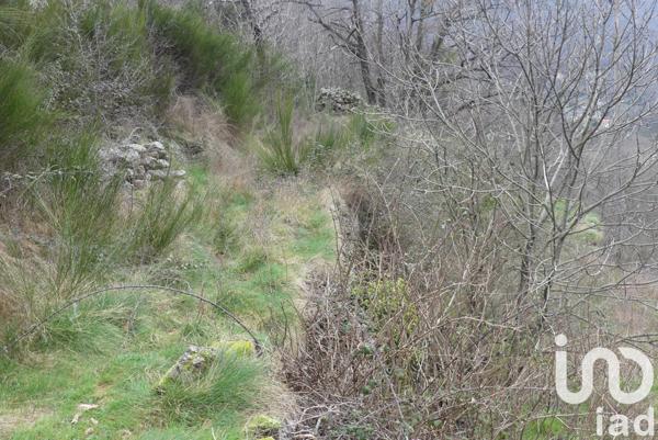 Immeuble à vendre 10 000 m² Burzet