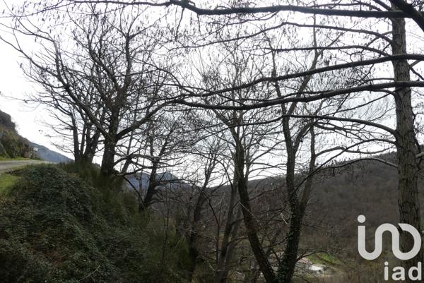 Immeuble à vendre 10 000 m² Burzet