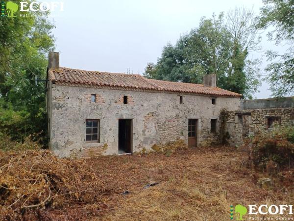 Maison en pierre à rénover