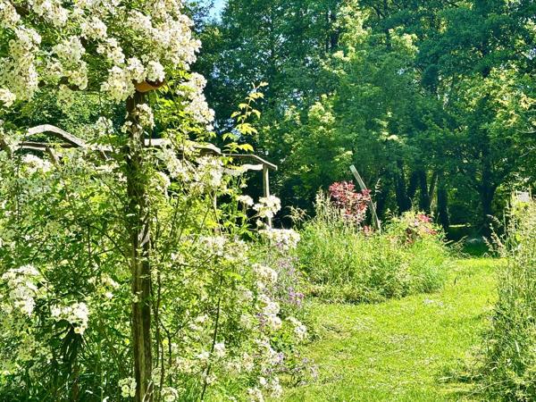 Vente Maison de luxe Ligueil 9 Pièces 250 m²