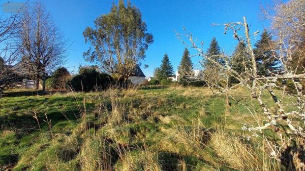 Terrain à Batir à vendre à Pluvigner dans le Morbihan (56330), ref : 56080-943