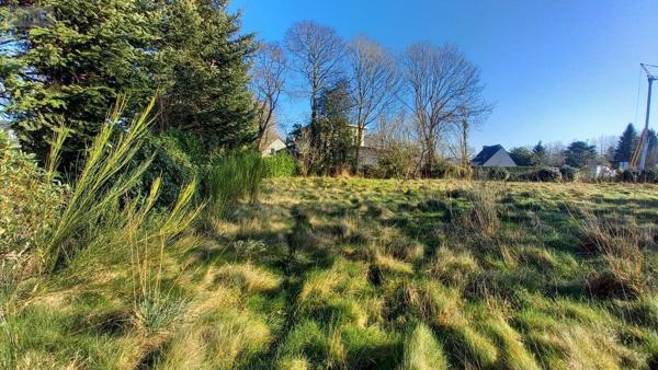 Terrain à Batir à vendre à Pluvigner dans le Morbihan (56330), ref : 56080-943
