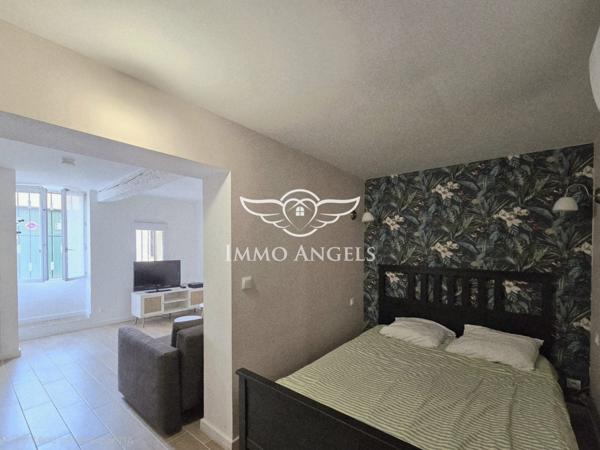 Charmant Studio rénové Montpellier Courreau