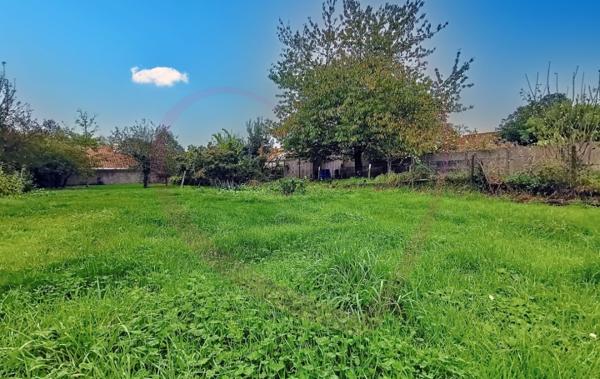 Vente Maison Individuelle à rafraîchir Villedieu-la-blouere   