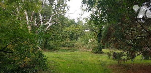 A VENDRE -  A LANGON SUR CHER (41) 
Ensemble immobilier  de caractère  avec gîte 
Dans un cad...