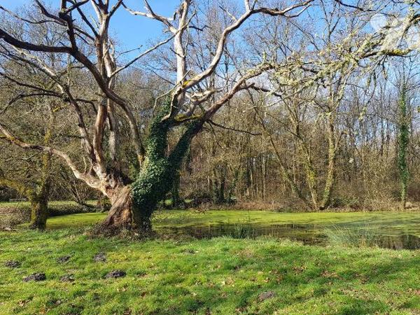 A VENDRE -  A LANGON SUR CHER (41) 
Ensemble immobilier  de caractère  avec gîte 
Dans un cad...