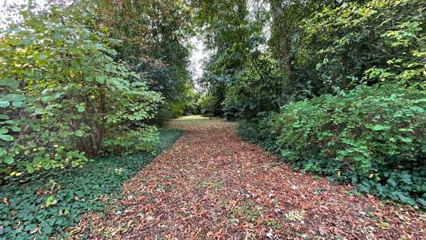 Maison Hénin-Beaumont - CENTRE