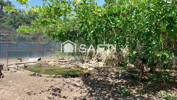 Propriété avec activités Canines, Félines et Ferme Pédagogique